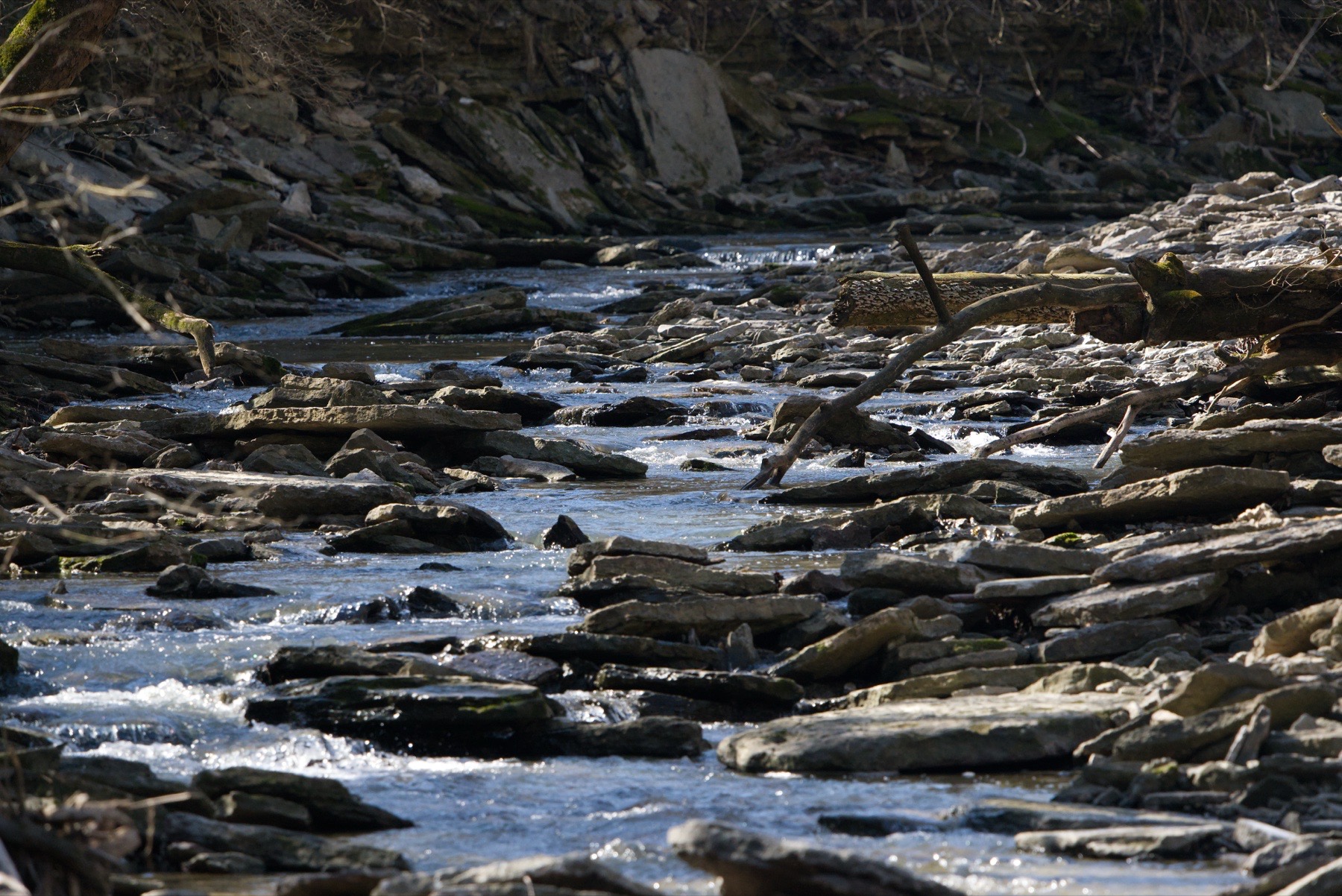 Caesers Creek Ohio