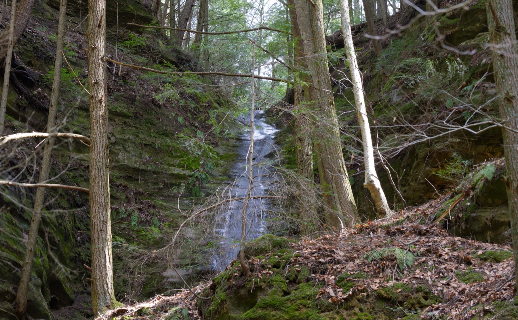 Trail through Hocking Hills