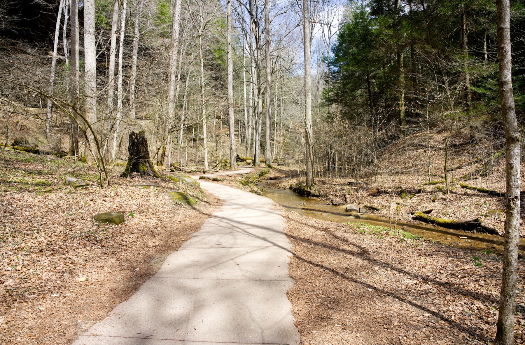 Trail through Hocking Hills