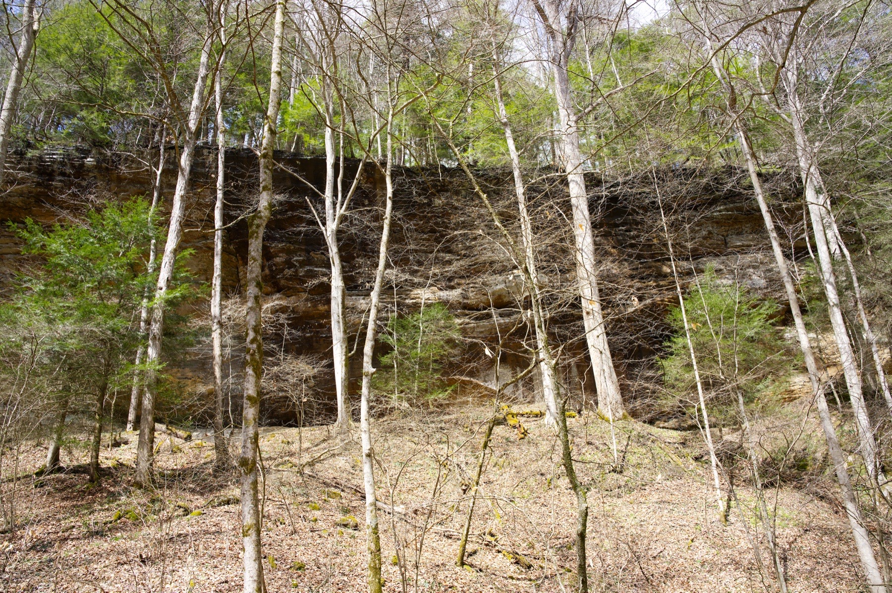 Forest trail through Hocking Hills State Park