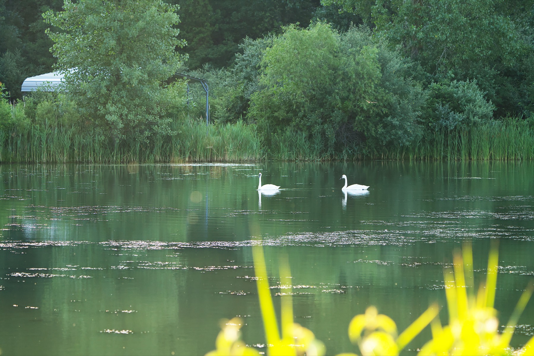 State Parks photography